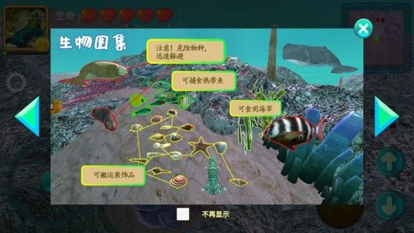 鯊魚(yú)風(fēng)暴海底大獵殺游戲下載,鯊魚(yú)風(fēng)暴海底大獵殺,鯊魚(yú)游戲,大魚(yú)吃小魚(yú)游戲